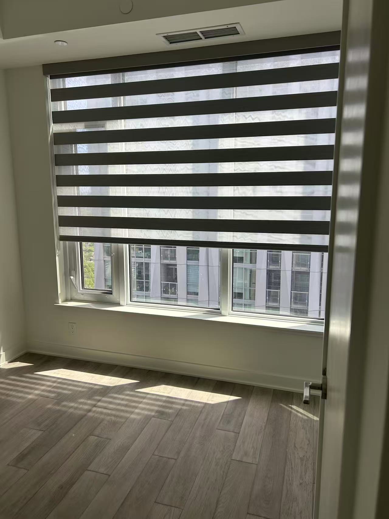 Zebra Blinds 5