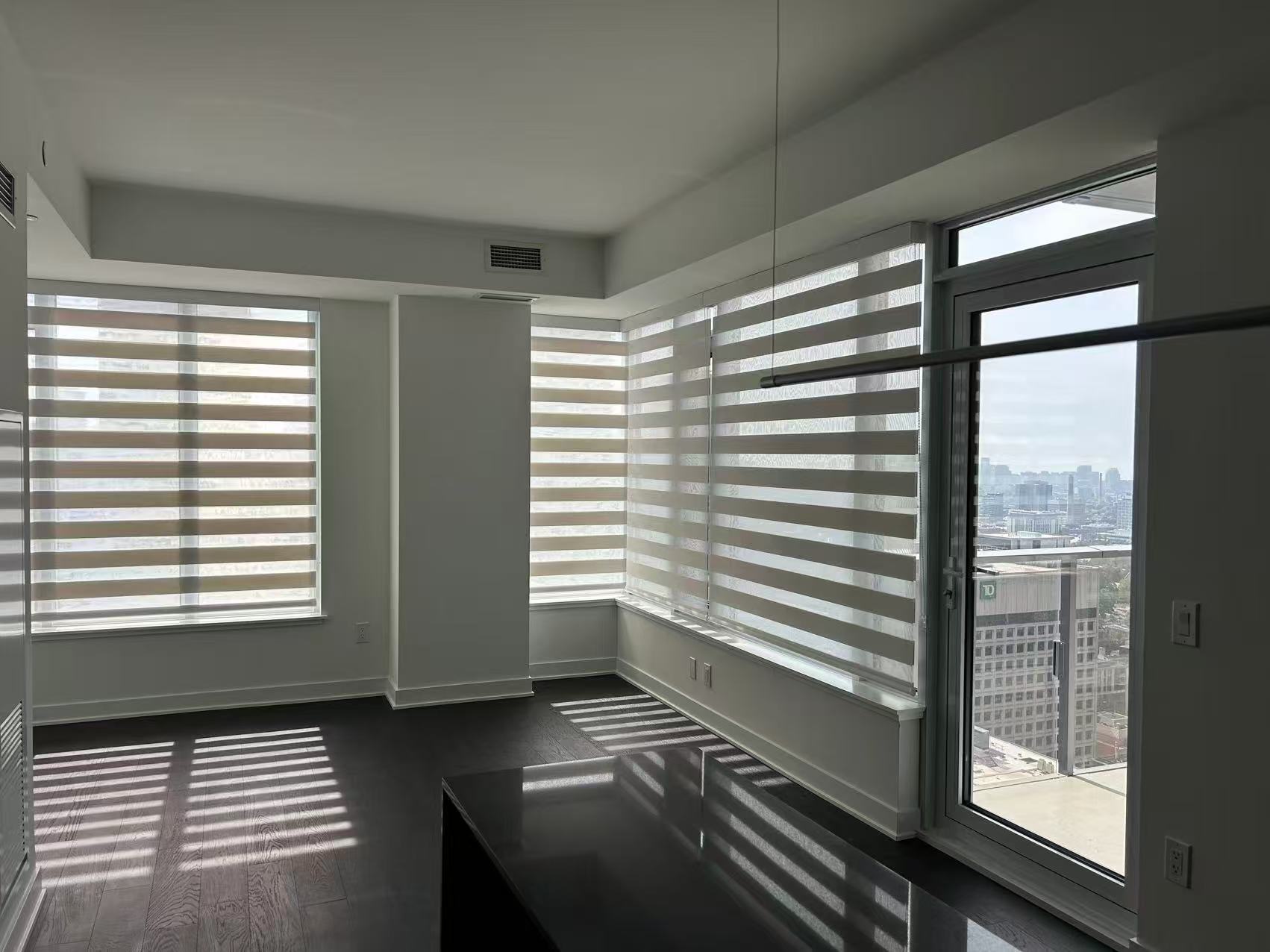 Zebra Blinds 6